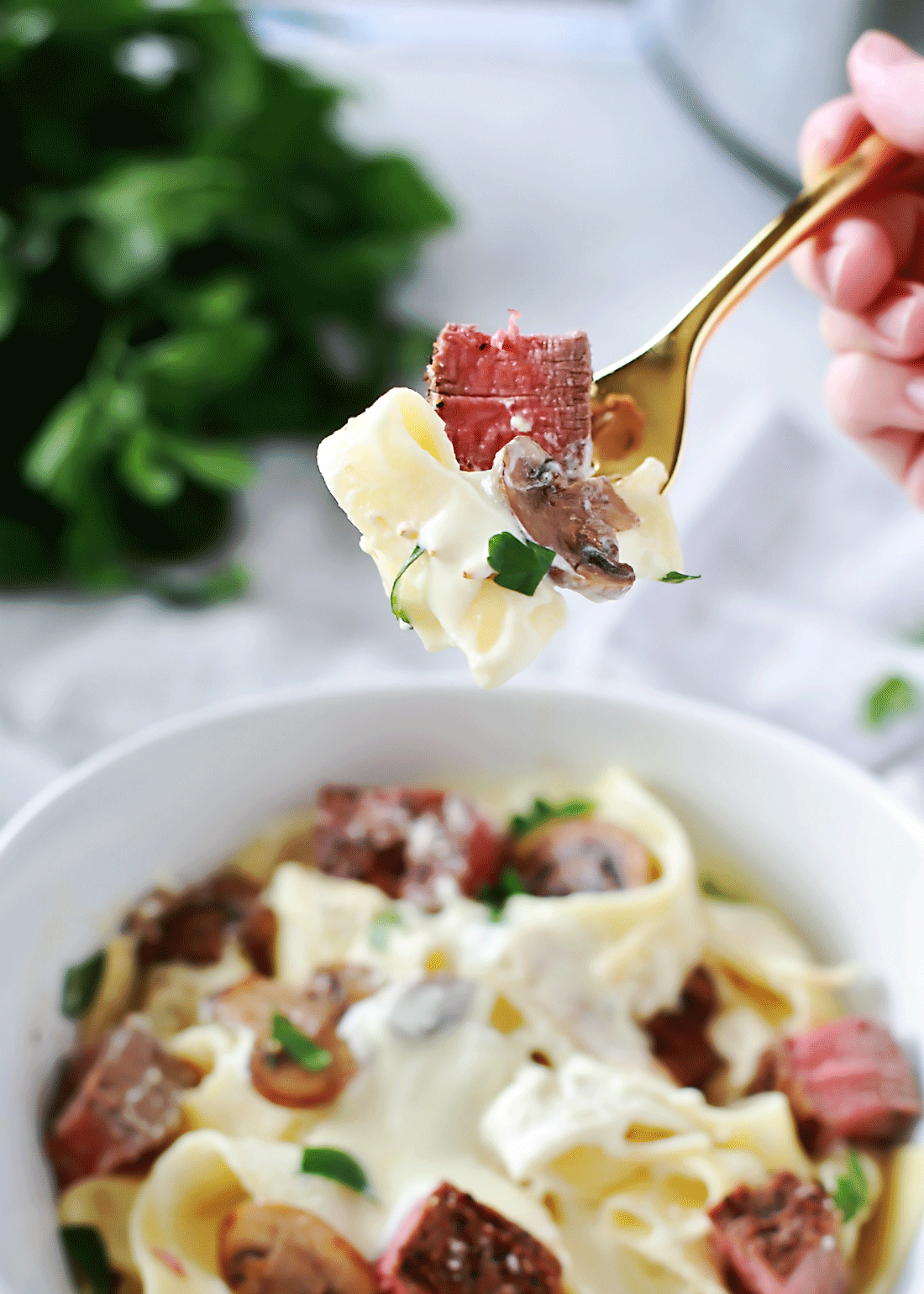 Easy recipe for Crockpot Beef Stroganoff by FLirting with Flavor. SOOO GOOD!!! My kiddos and husband both went nuts over this one.