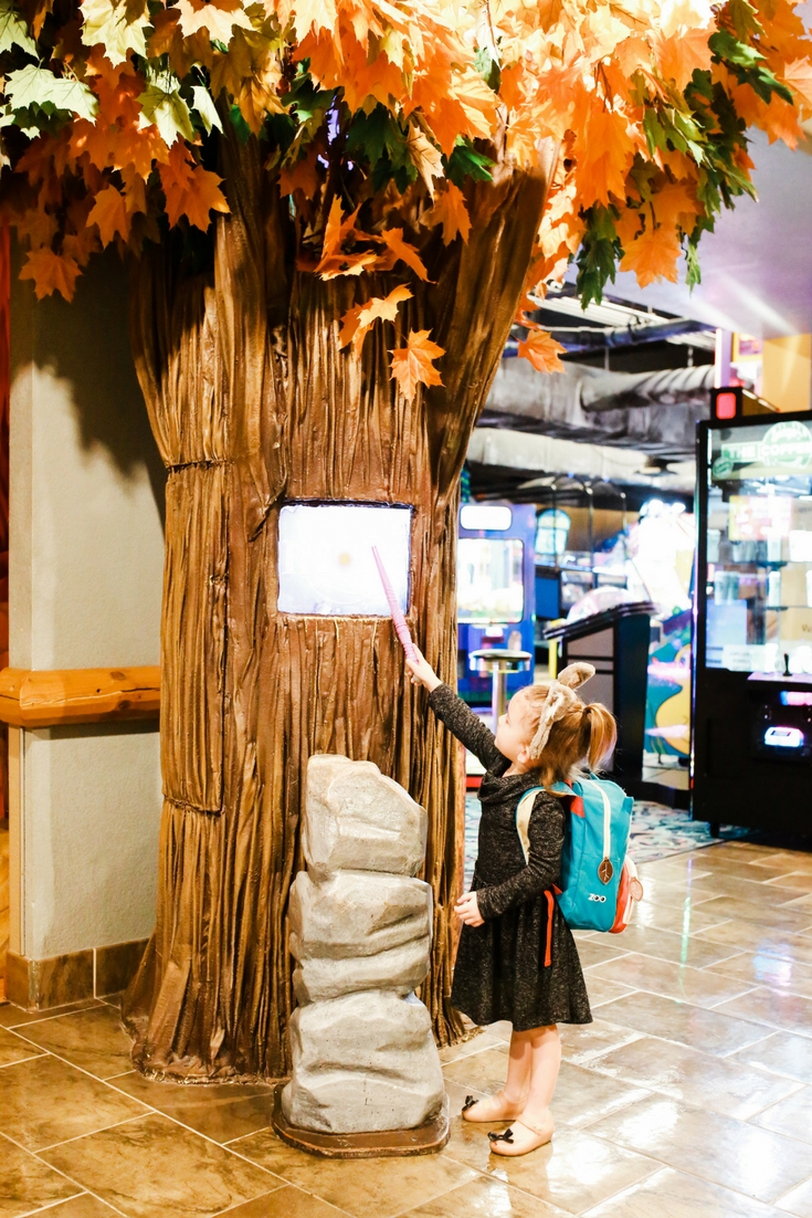 An honest review with tips and tricks for a great stay at The Great Wolf Lodge. Including video of the waterpark and other fun kid activities offered!