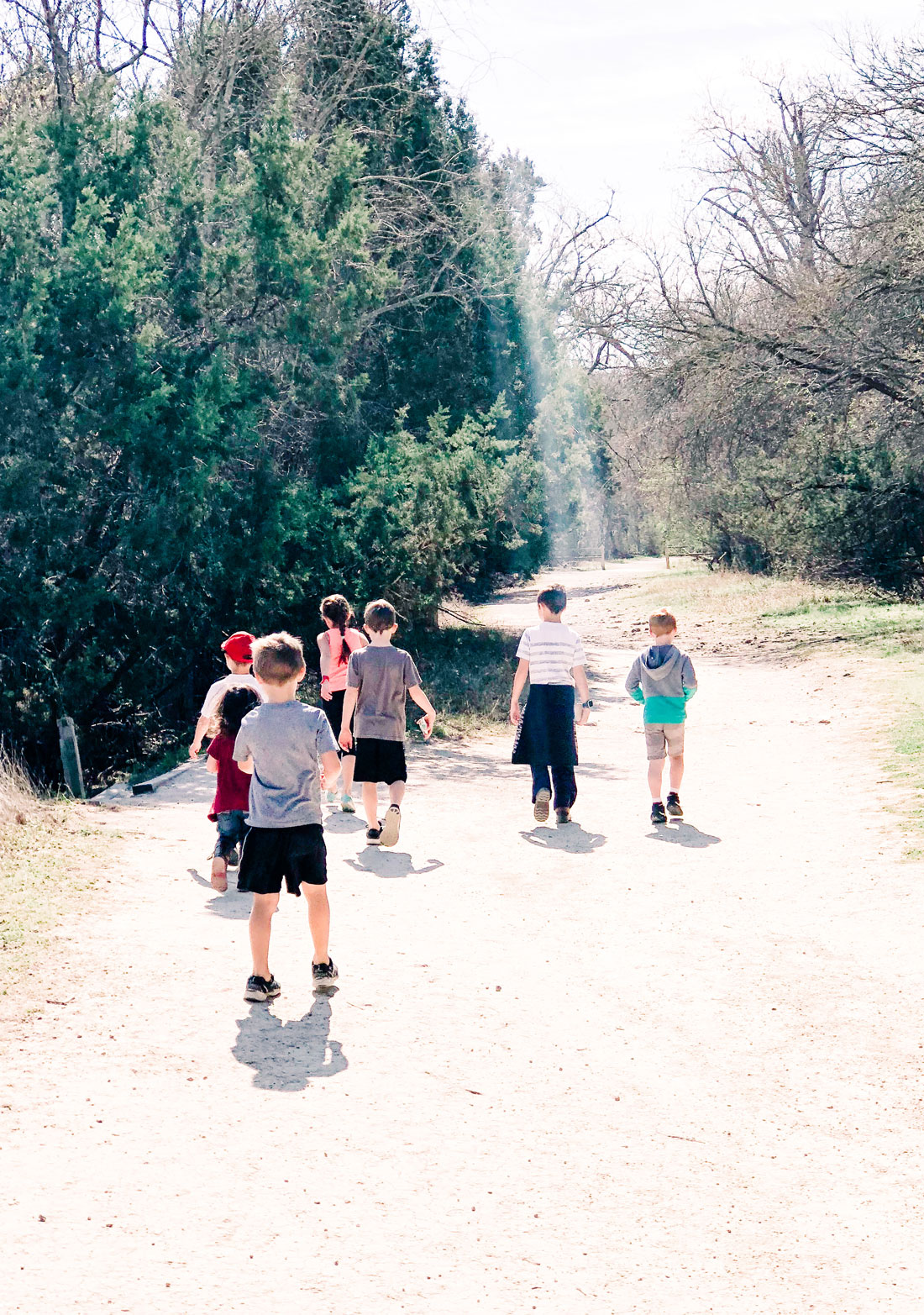 5 important reasons to take your kids hiking