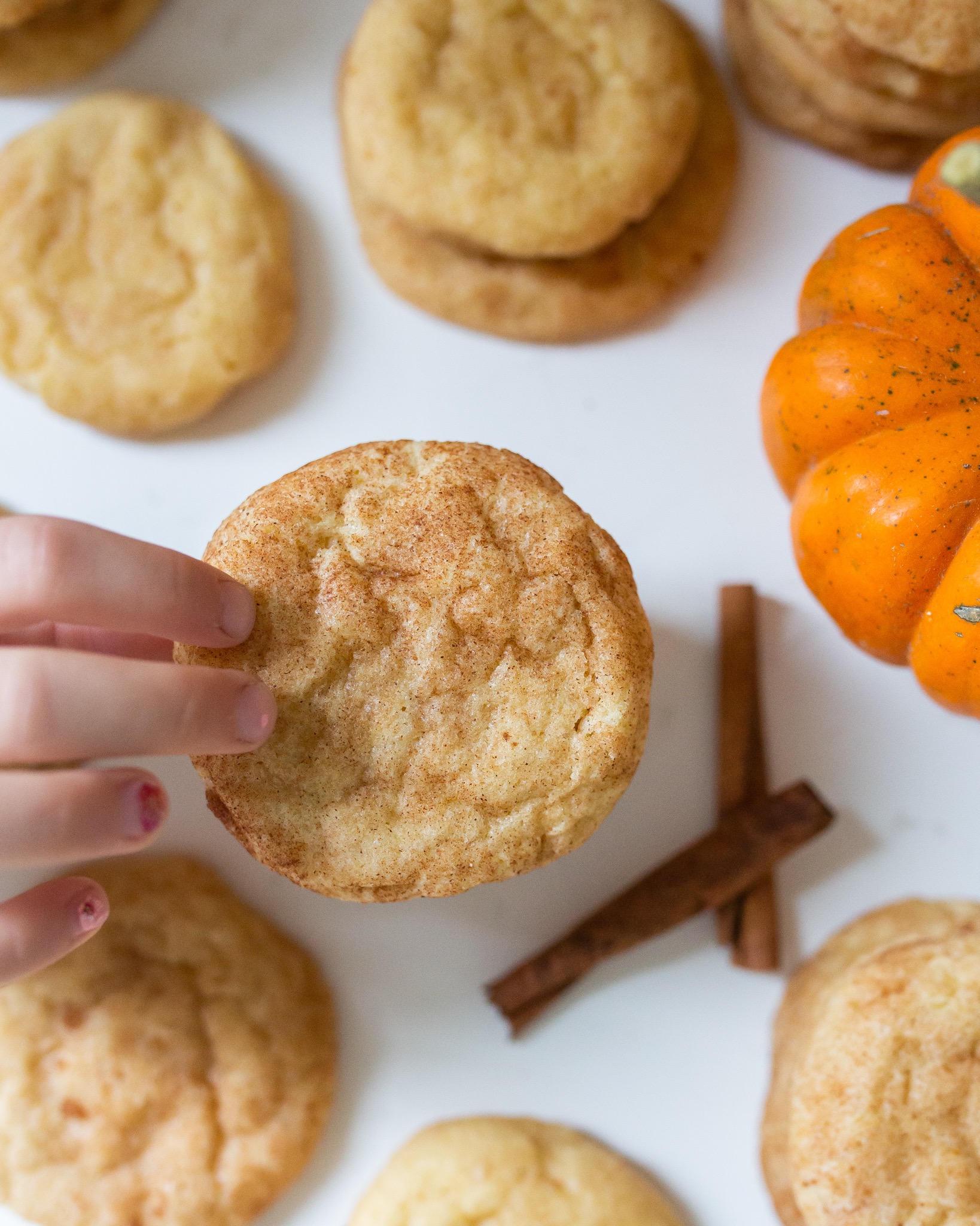 soft and chewy delicious snickerdoodle cookies that will rock your life